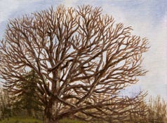fine art landscape oil painting by Ed Wong-Ligda