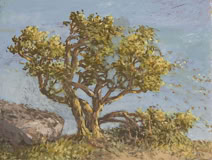 fine art landscape oil painting by Ed Wong-Ligda